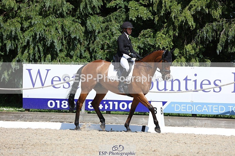 230526-150224-06605 - 377-GOLD_NUGGET-Jillian_Giessen-WEDTrotUp+DR