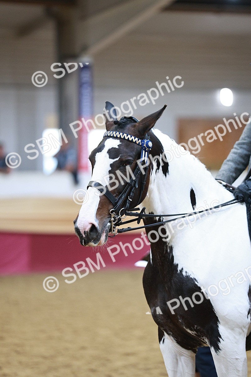 SBM_09089 - Class 12R - Regional Ridden Pre-Vet