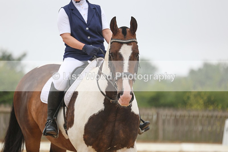 3E7A8367 - Class 2: Intro 3 2024 section B