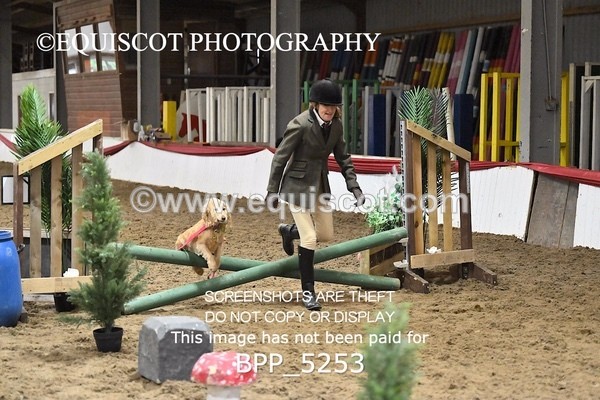 BPP_5253 - CLASS 5 HORSE AND HOUND