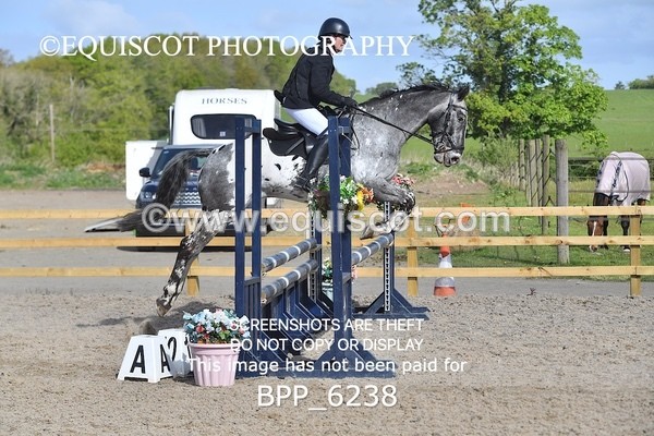 BPP_6238 - CLASS 32 MON Club/ Unaffiliated 80cms Open