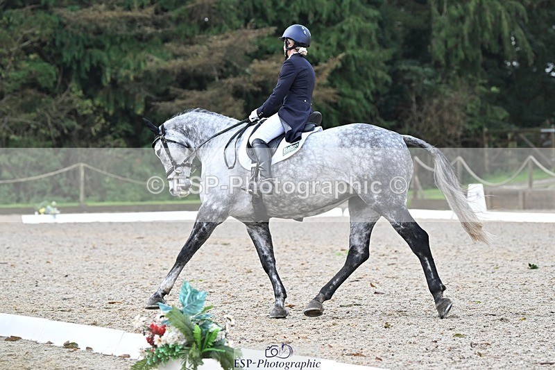 231019-094828-01221 - 028-BOLEYBAWN.COOLEY.LADY-Claire.Fielding-DR