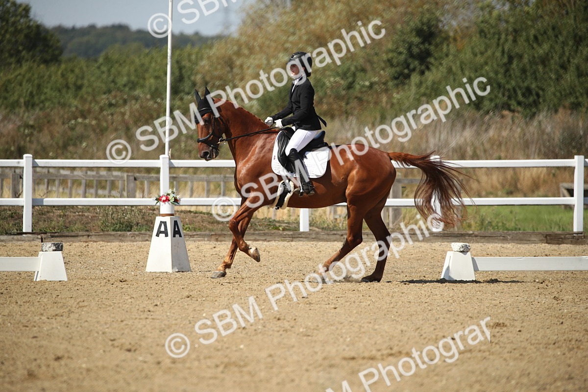 SBM_005131 - Class 11 - Novice 5 - 11.41-12.58