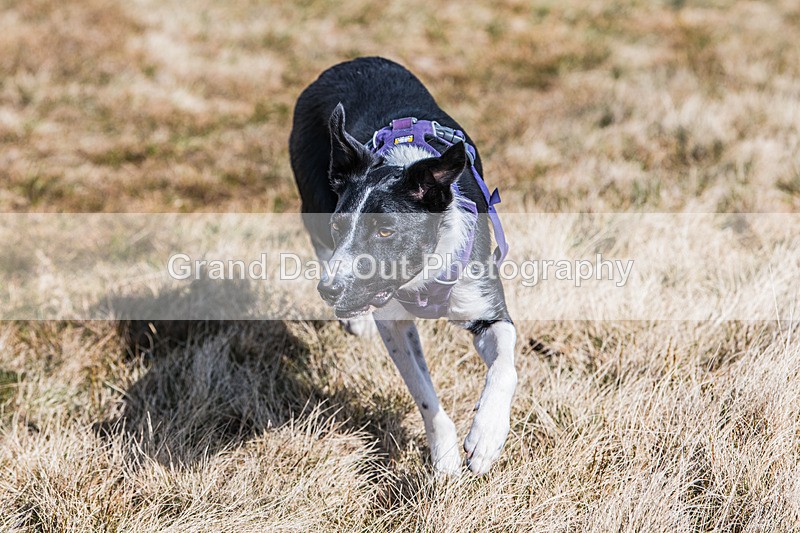 Jeffrerys Mount-2 - Jeffrey's Mount Figure of Eight Fell Race, Sunday 13th April 2025