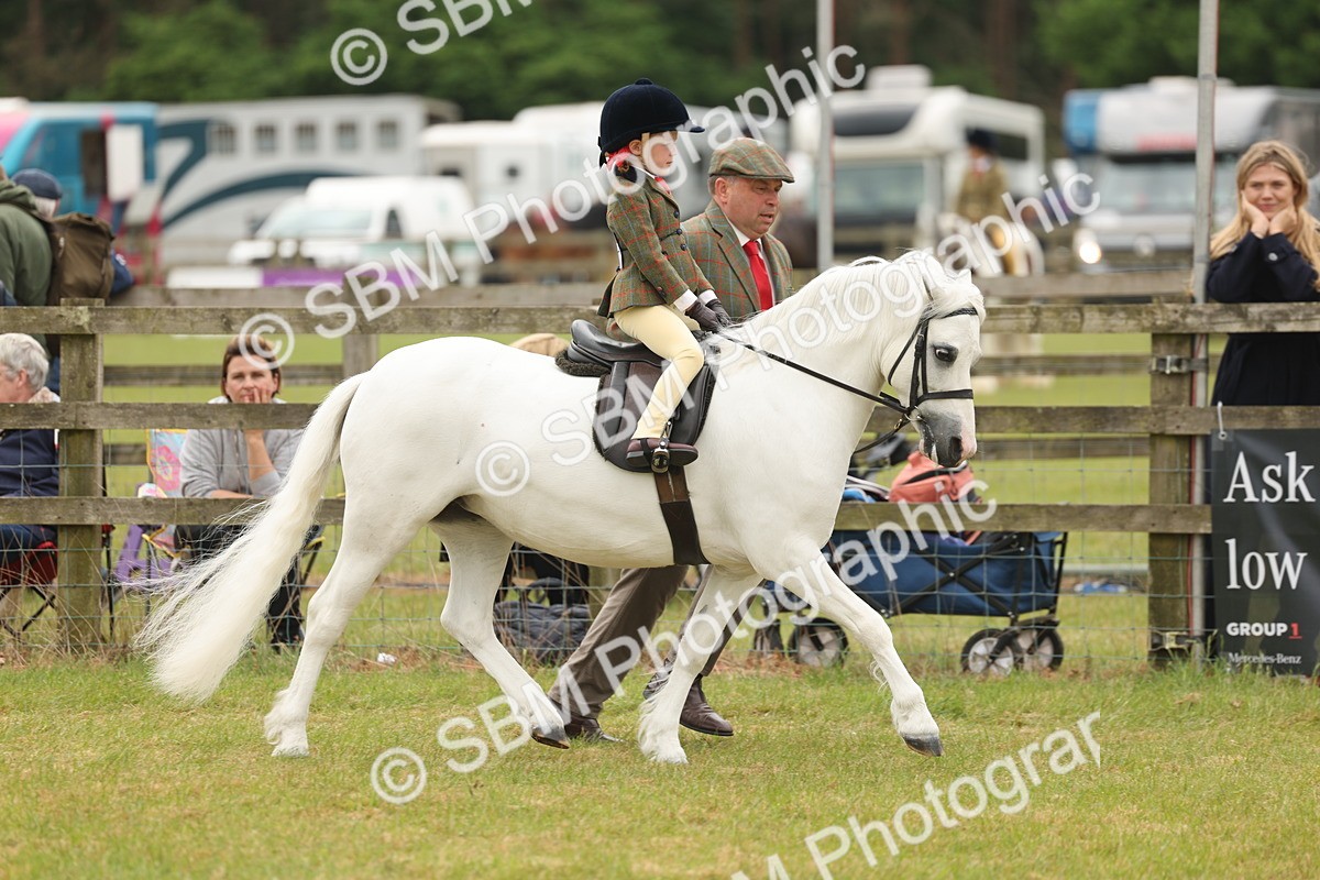 SBM_06682 - Class 74-75 - M&M Lead Rein and First Ridden Pony