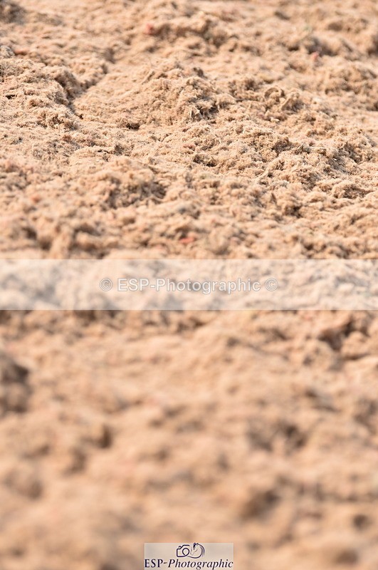 230610A-093756-02566 - Cls 21 British Novice & Open