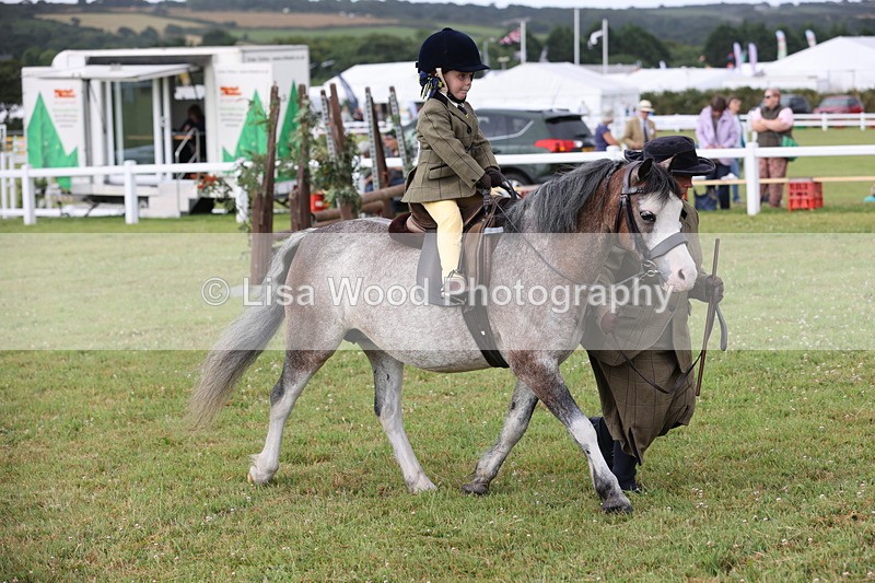 JPP_0345 - Class 14: Cornish Combination Leading Rein