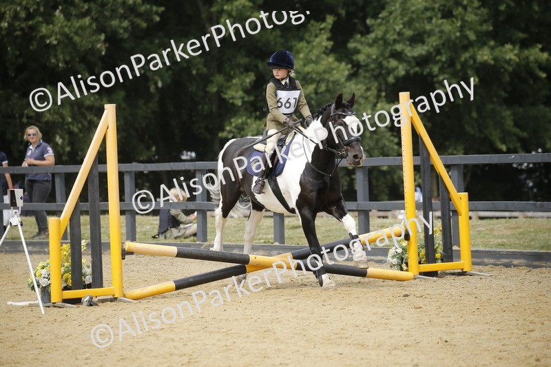 20250622-4749 - 50cm