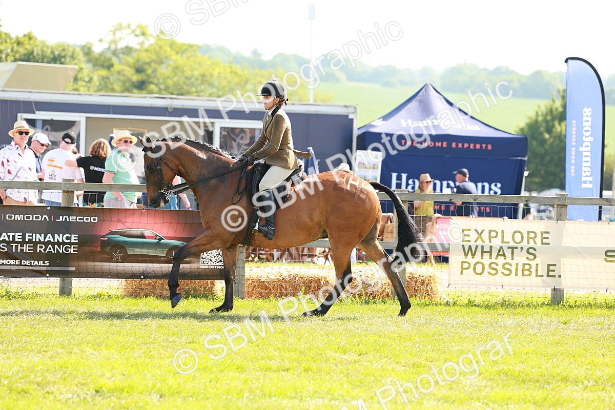 SBM_12048 - Class 66-69 - RIHS Ridden Hunters Inc Small Hunter