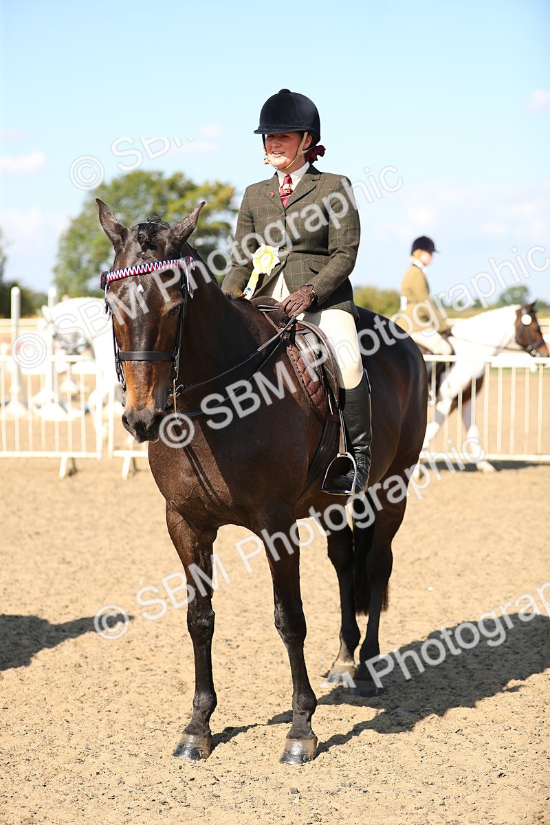 SBM_02405 - Class 43 Ridden Competition Horse/Pony