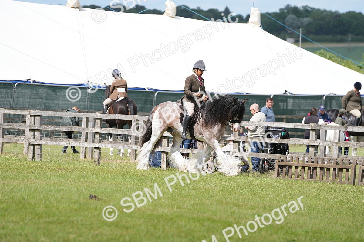 SBM_17198 - Class 107-108 - LIHS BSPS Performance Coloured Horse Pony
