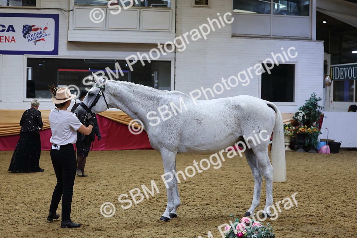 SBM_20905 - Class 902 - Supreme Final IH Veteran