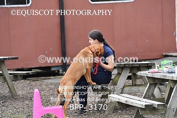 BPP_3170 - SAT CLASS 9 Club/ Unaffiliated 70cms Open