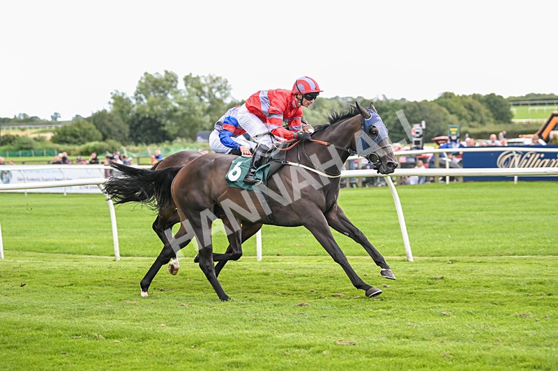 050825-Race 4-Dream Deal-5915 - Race 4