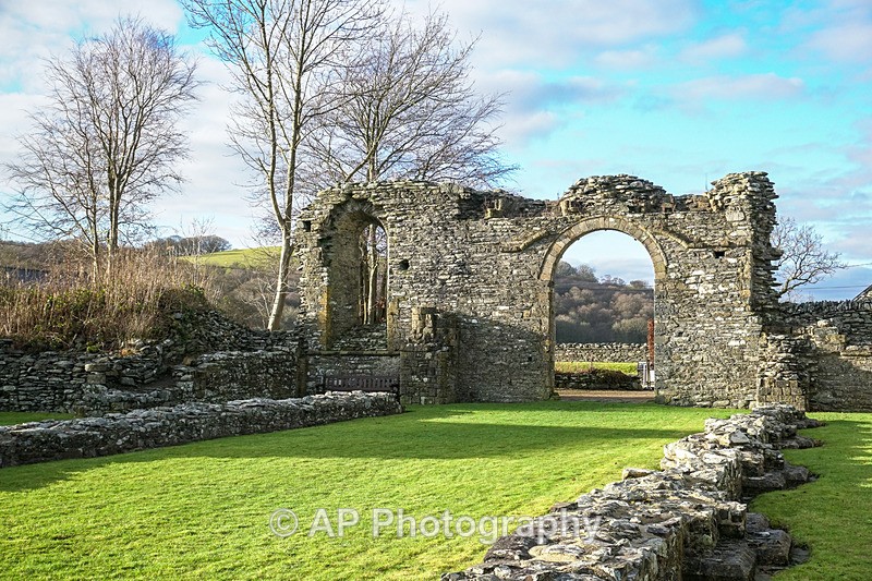 ACP02019-1 - Strata Florida Abbey