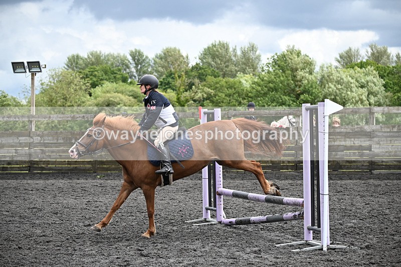 WJ6_0217 - Class 13 Novice 60cm