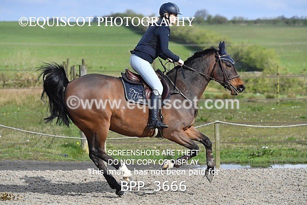 BPP_3666 - CLASS 2 FRI Club/ Unaffiliated 90cms Open