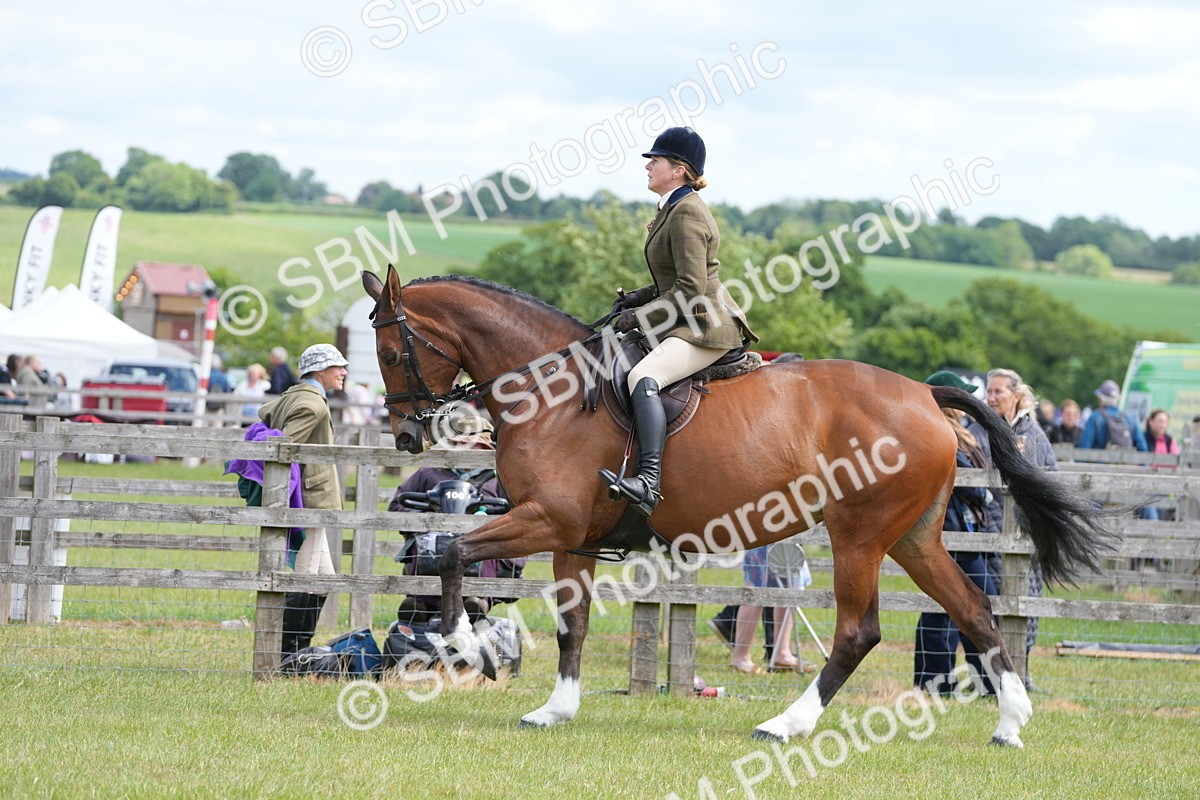 SBM_15018 - Class 100-102 - RIHS Working Hunter