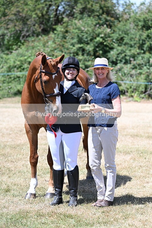 WJ7_2520 - Most Handsome Gelding Champs