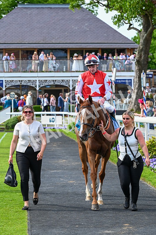 230526-Race 7-Golden Strike-8078 - Race 7 17.00pm William Hill Boosts Every Day Handicap