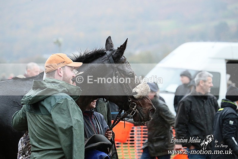 PtP 091125  1179 - Point-to-Point Wales Area Club Lower Machen, Gwent 09/11/25