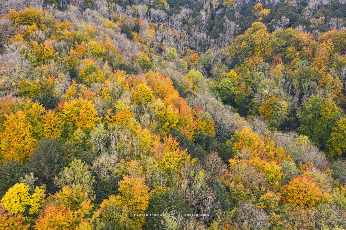 Steep change - FROM ABOVE