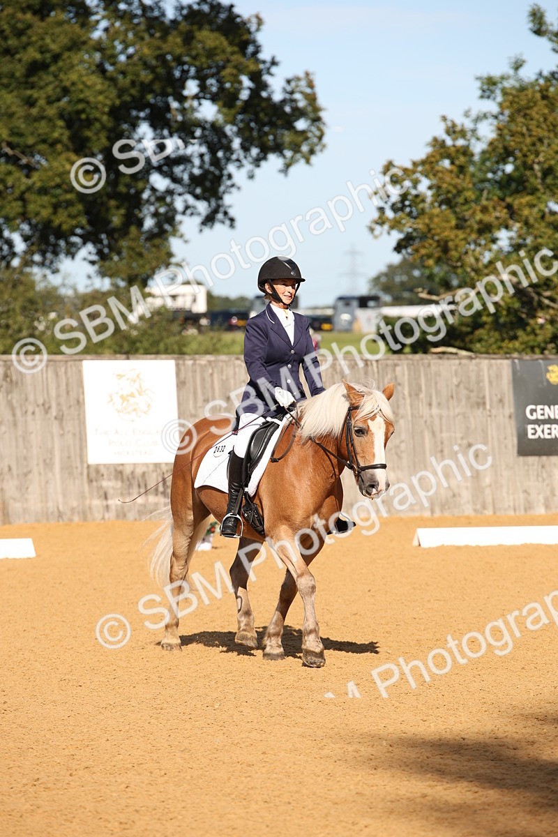 SBM_18373 - D31 - Grand Tour - PYO Open