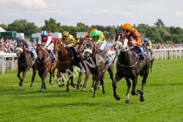yr08072022r6-11 - Race 6 5.00pm Irish Thoroughbred Marketing Stakes