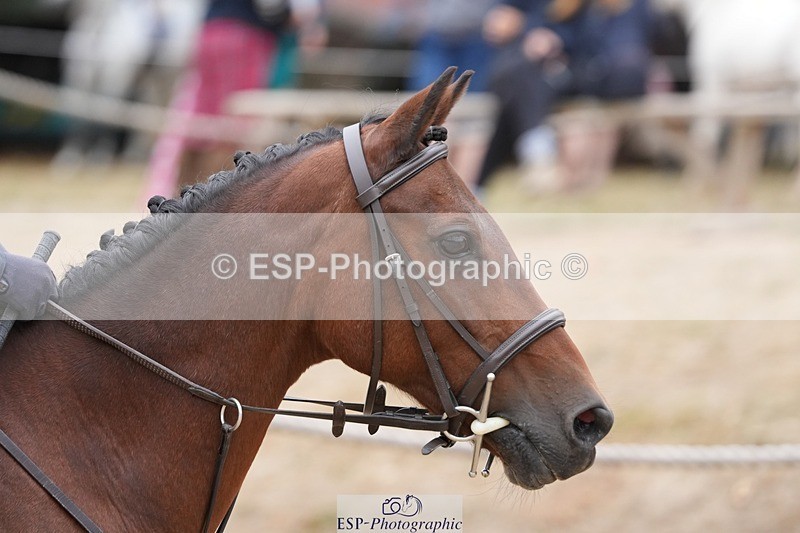 250820A-112557-04265 - Round 2, 10.45 to 11.45 Break