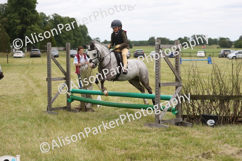 20260614-3130 - Class 22 - Open Working Hunter