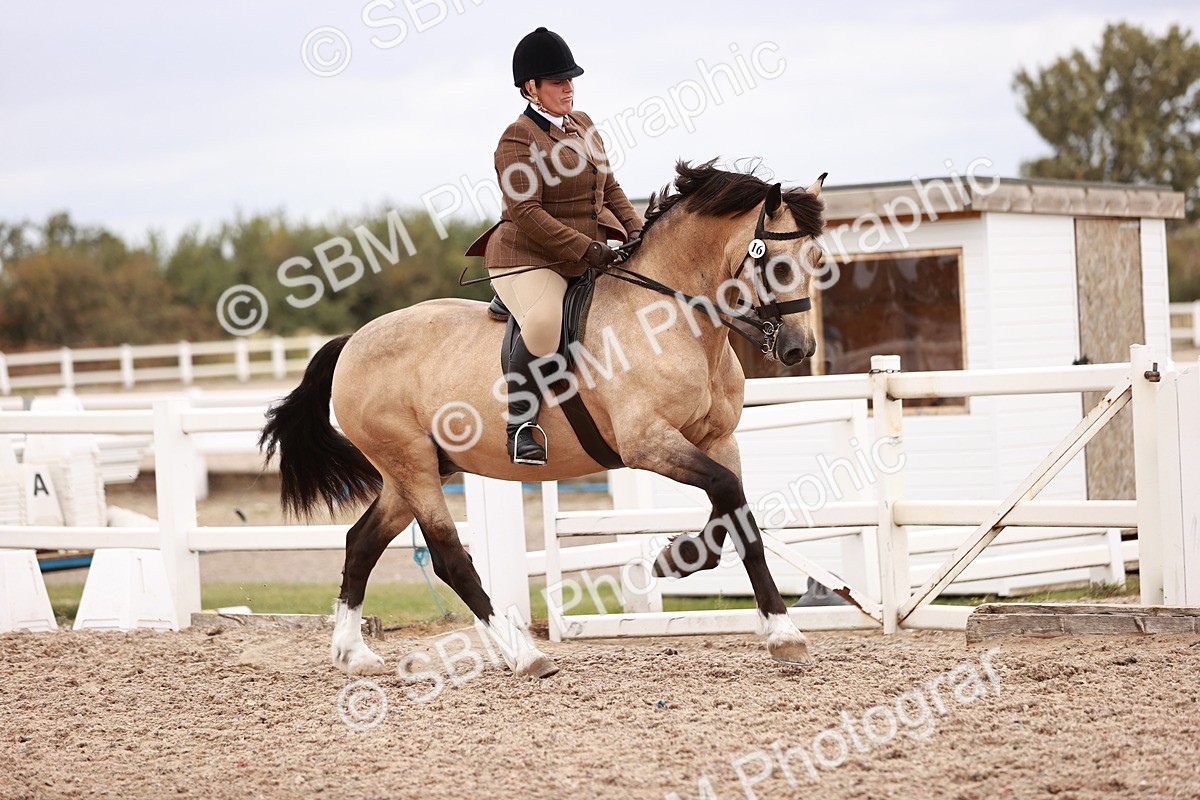 SBM_18971 - Class 422 - Ridden M&M