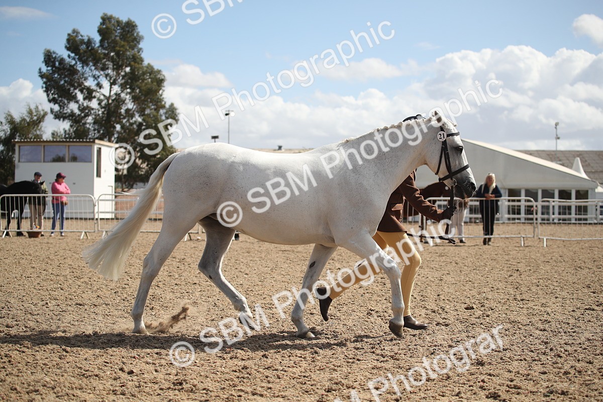 SBM_23560 - Class 605 - 2026 - Area - IH Veteran