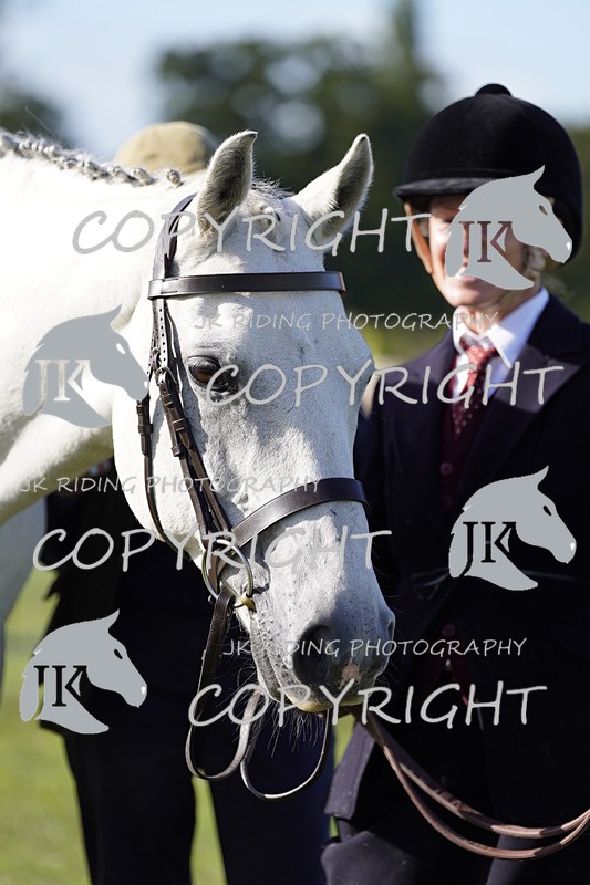 _DSC9529 - Class 8 & 17 Ridden Hunter & Ridden Hunter Pony