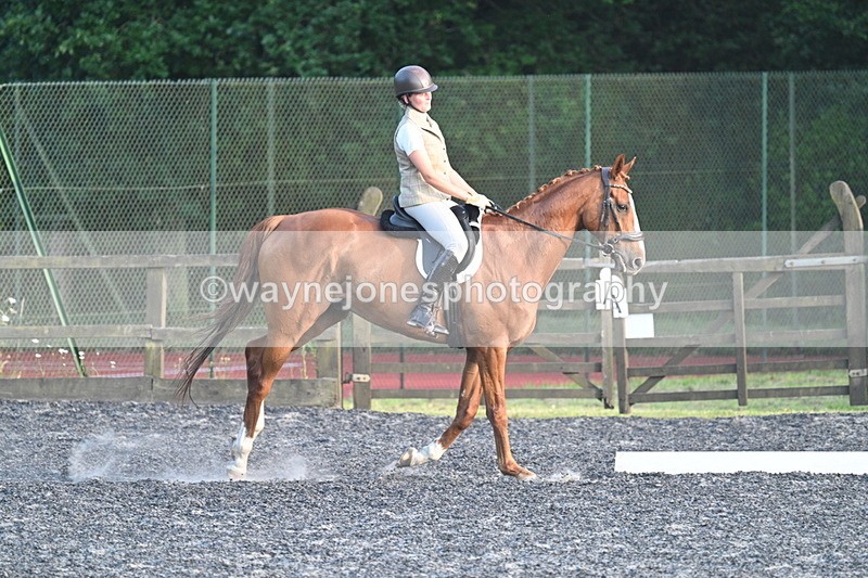 WJ7_0306 - Time 19:38 to 20:00