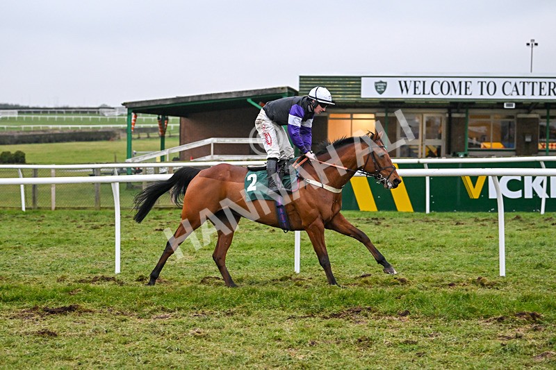 310125-Race 7-Balcomie Breeze-6030 - Race 7