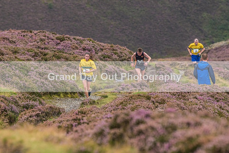 Barrow-260 - Barrow Fell Race Monday 26th August 2024