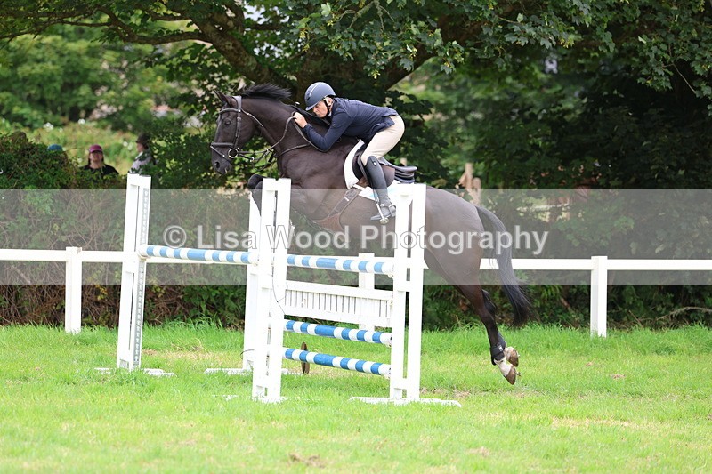 3E7A8431 - Class 8: Senior Foxhunter/1.20m open