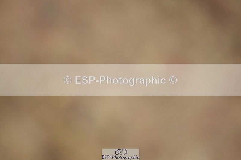 230916A-110800-03619 - Cls 21 British Novice & 90cm Open