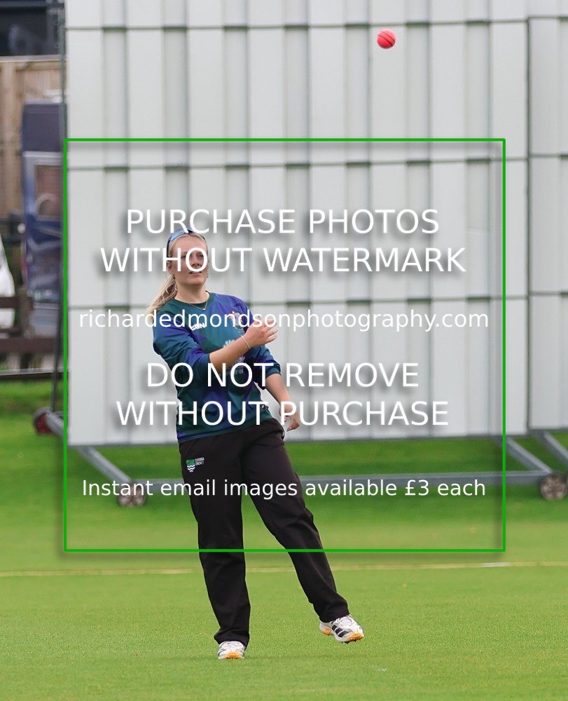 533A5310 - Kendal Cricket Women & Girls vs Carnforth Cricket Women & Girls (28/5/26)