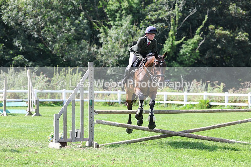 3E7A8902 - Class 6: Open Working Horse