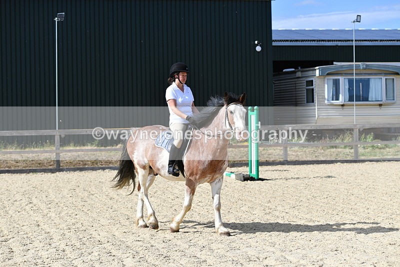 WJ5_5548 - Poles on the Floor