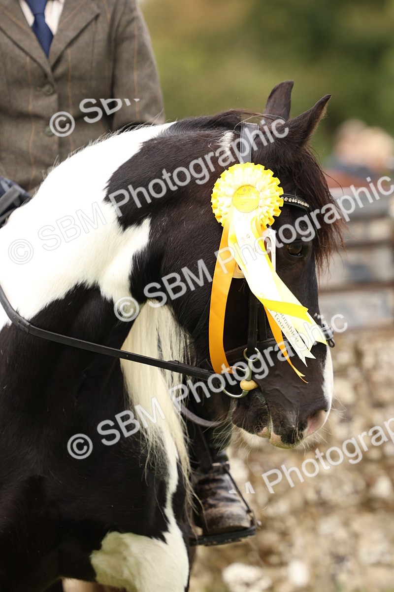 SBM_45144 - S27 - Young Veteran Ridden