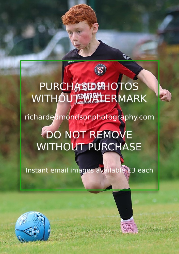 533A3021 - Sedbergh Wanderers (morning Ibis)
