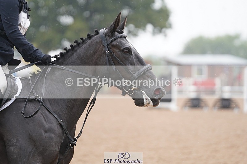 240901A-135606-09867 - 555-Sarah.O'Reilly-MIDNIGHT.STAR.VI