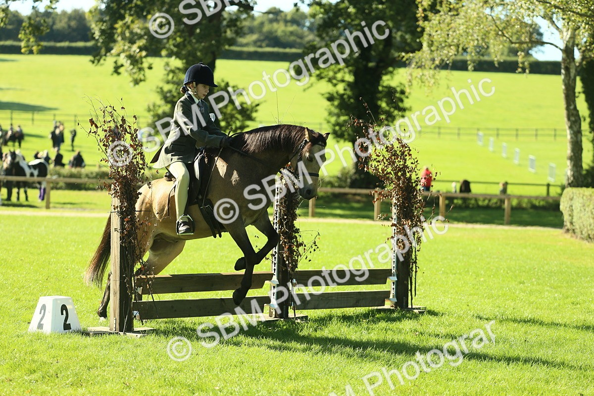 SBM_36495 - S29 - Novice & Newcomers Working Hunter Pony