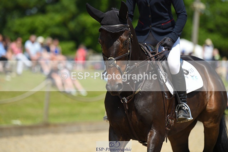 230528-120122-15495 - 355-JASON_KING-Izzy_Taylor-SUNTrotUp+SJ