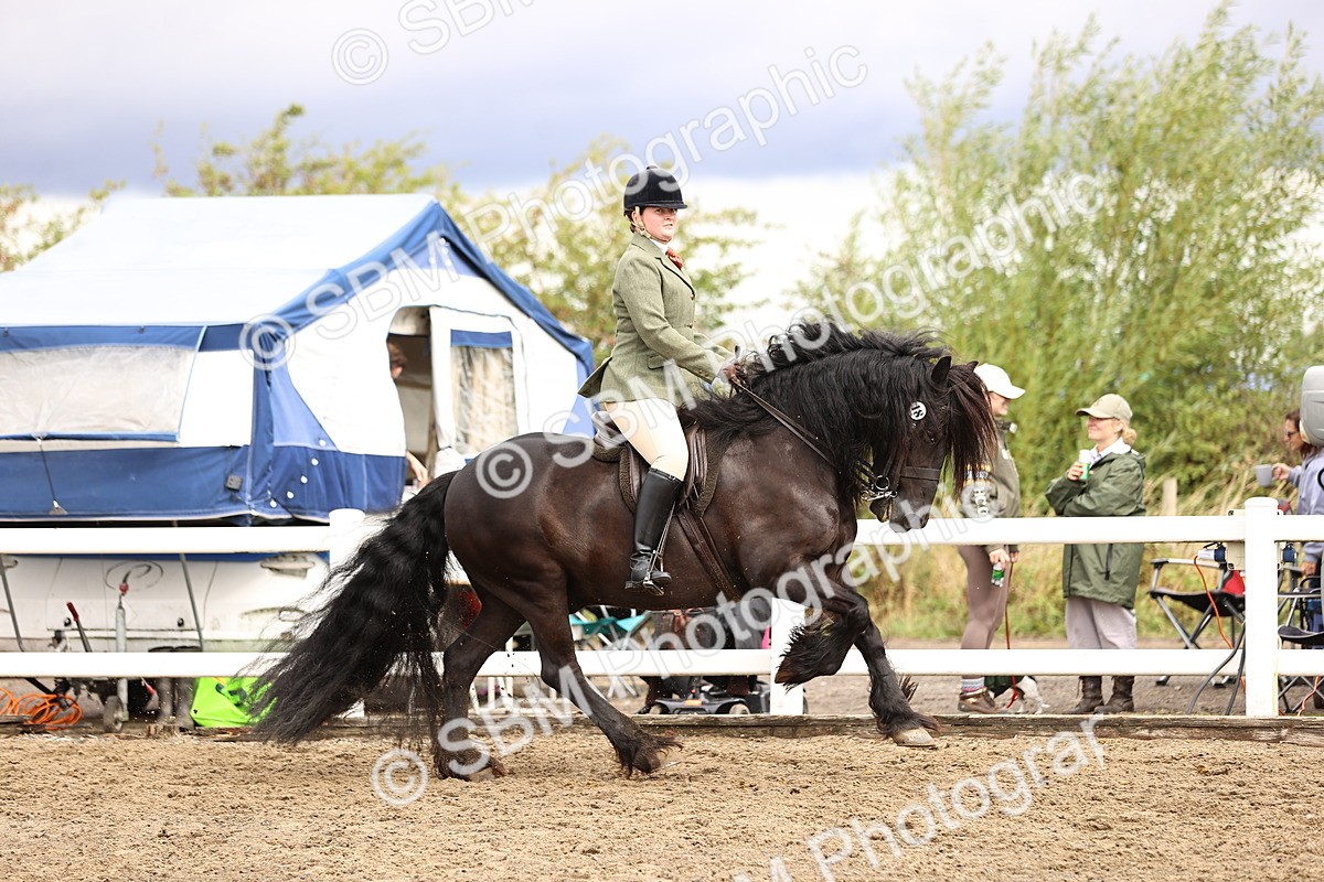 SBM_00572 - Class 53 - Ridden Competition Horse Pony