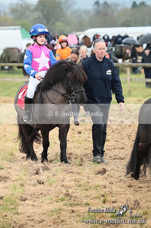 SHETPR 210425 66 - Shetland Ponies Paxford Races 21/04/25