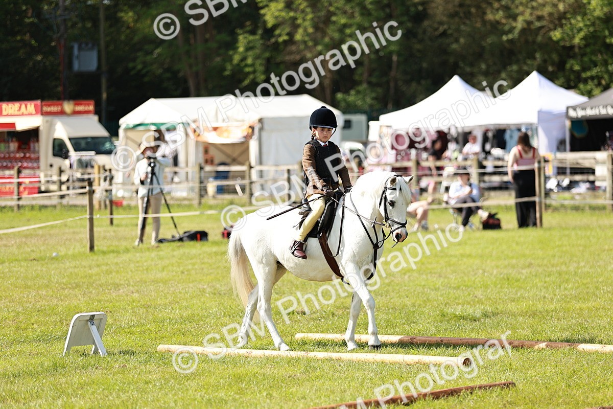 SBM_12605 - Class 106-107 - BSPS LIHS Working Sports Pony