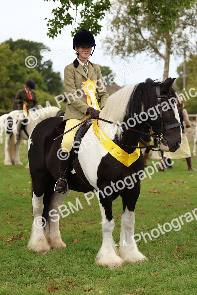 SBM_64660 - S58 - Coloured Pony Ridden